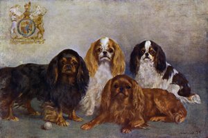 King Charles Spaniëls